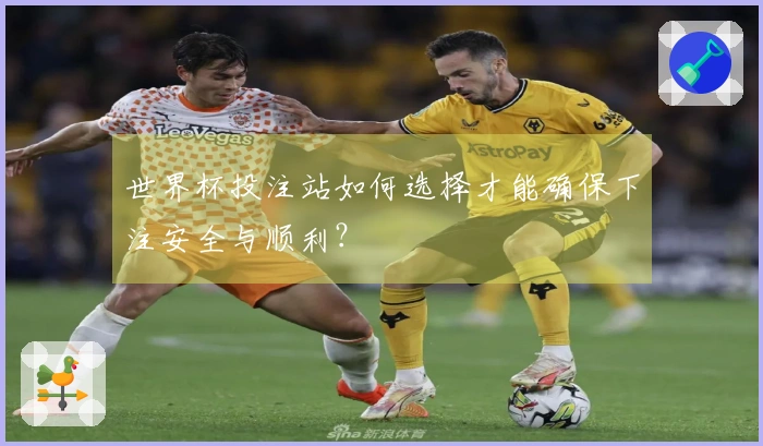 世界杯投注站如何选择才能确保下注安全与顺利？