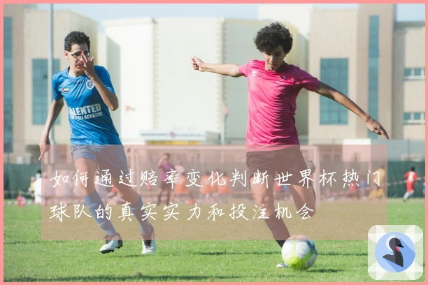 如何通过赔率变化判断世界杯热门球队的真实实力和投注机会