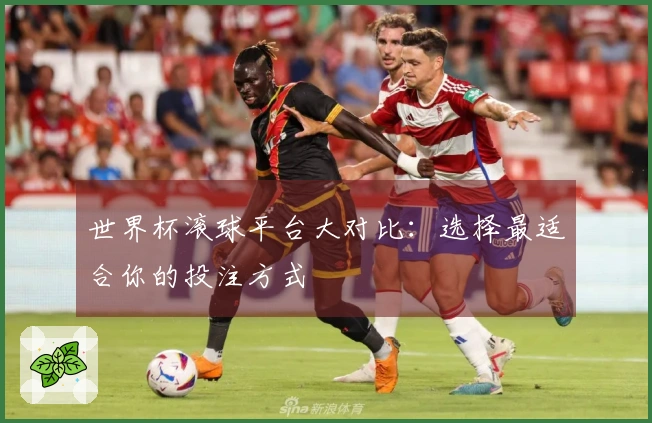 世界杯滚球平台大对比：选择最适合你的投注方式