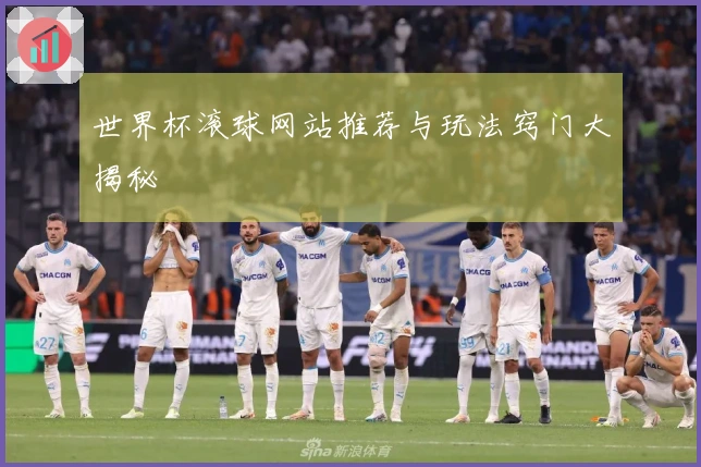 世界杯滚球网站推荐与玩法窍门大揭秘