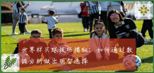 世界杯买球技巧揭秘：如何通过数据分析做出明智选择