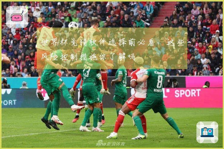 世界杯竞猜软件选择前必看，这些风险控制措施你了解吗