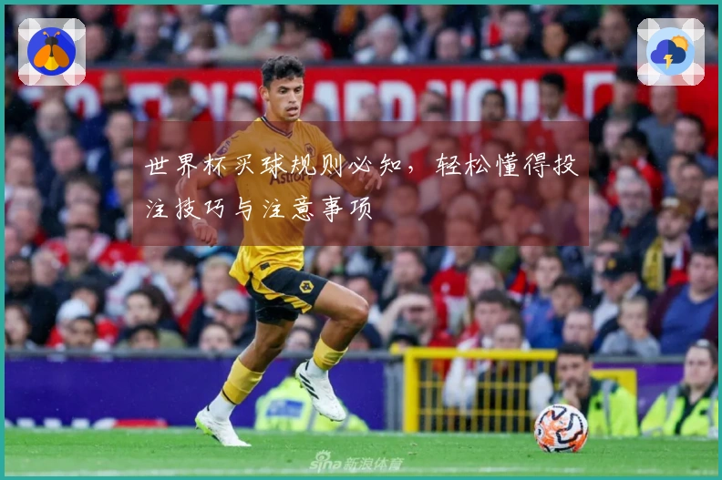 世界杯买球规则必知，轻松懂得投注技巧与注意事项