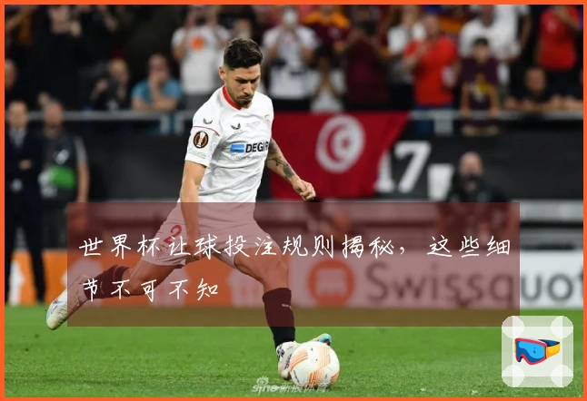 世界杯让球投注规则揭秘，这些细节不可不知