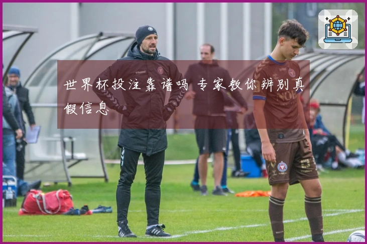 世界杯投注靠谱吗 专家教你辨别真假信息