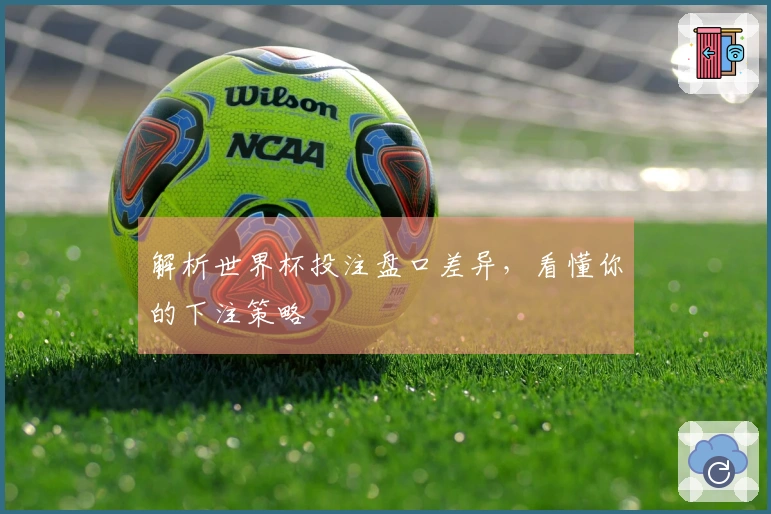 解析世界杯投注盘口差异，看懂你的下注策略