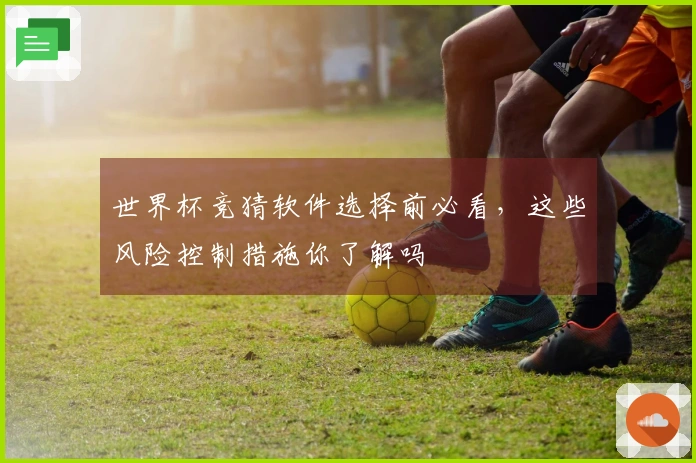 世界杯竞猜软件选择前必看，这些风险控制措施你了解吗
