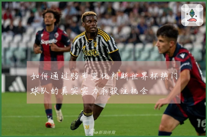 如何通过赔率变化判断世界杯热门球队的真实实力和投注机会