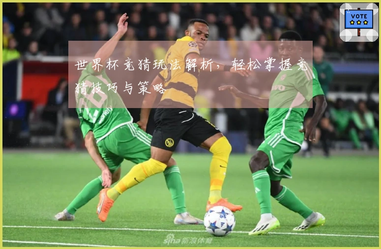 世界杯竞猜玩法解析，轻松掌握竞猜技巧与策略