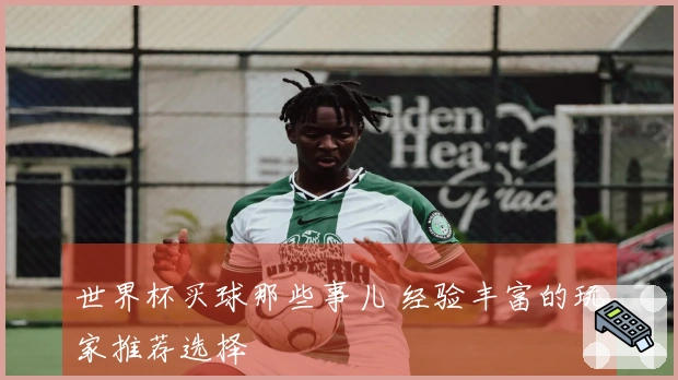 世界杯买球那些事儿 经验丰富的玩家推荐选择