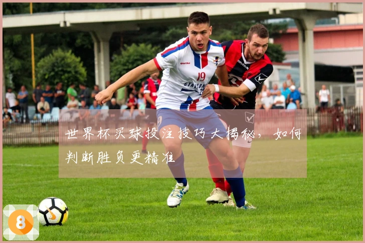 世界杯买球投注技巧大揭秘，如何判断胜负更精准