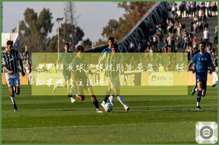 世界杯滚球买球规则全景盘点，轻松掌握投注技巧