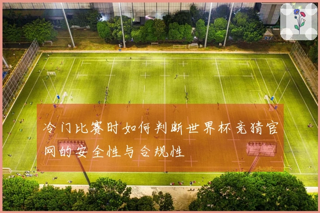 冷门比赛时如何判断世界杯竞猜官网的安全性与合规性