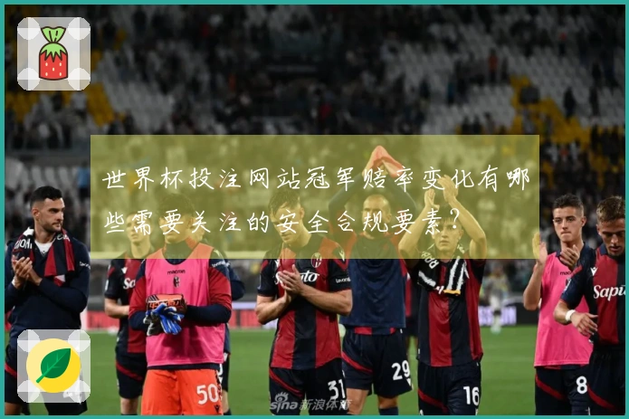世界杯投注网站冠军赔率变化有哪些需要关注的安全合规要素？