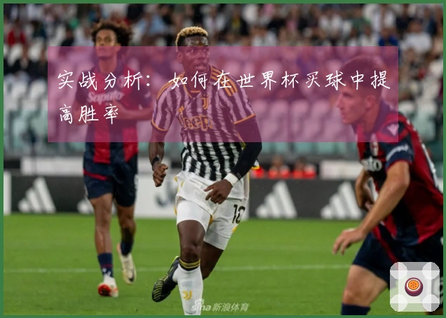 实战分析：如何在世界杯买球中提高胜率