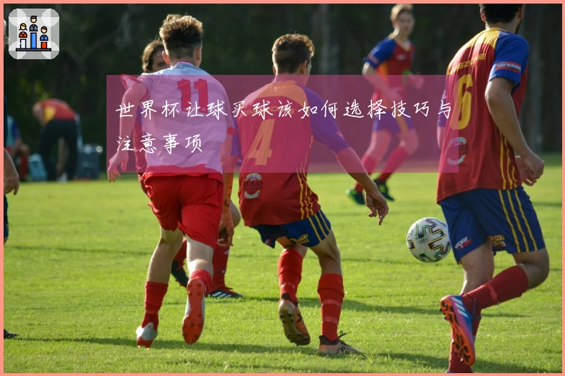世界杯让球买球该如何选择技巧与注意事项