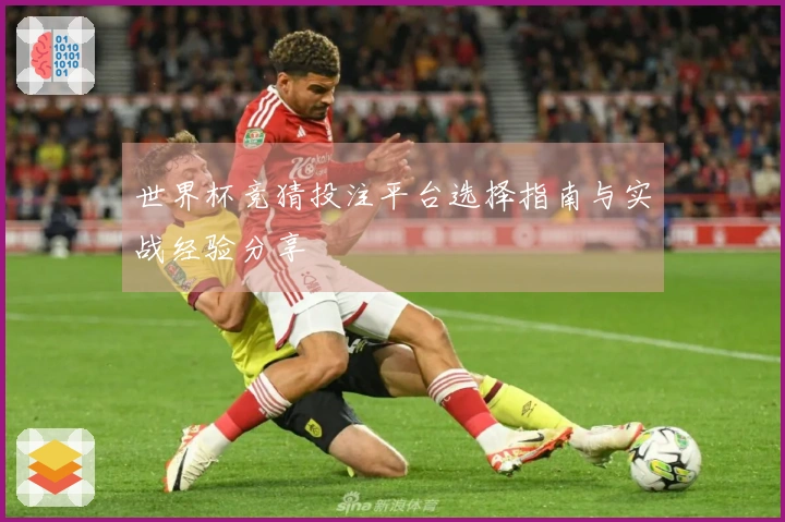 世界杯竞猜投注平台选择指南与实战经验分享