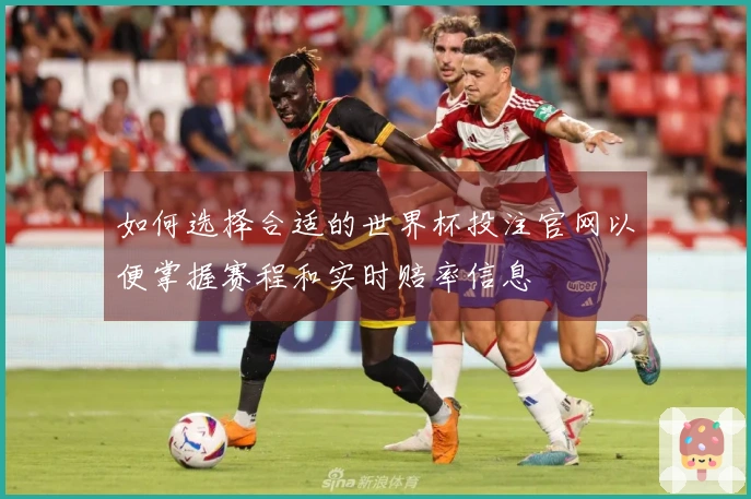 如何选择合适的世界杯投注官网以便掌握赛程和实时赔率信息