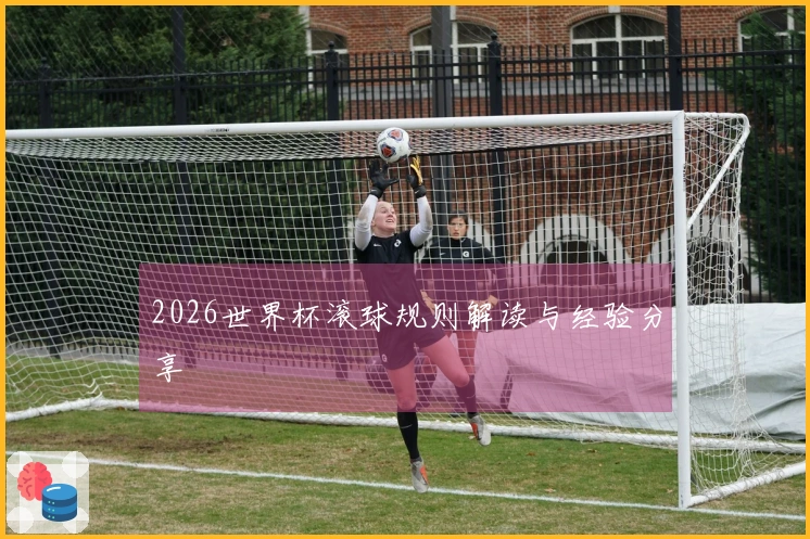 2026世界杯滚球规则解读与经验分享