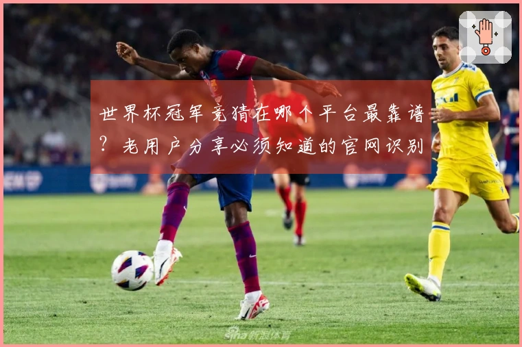 世界杯冠军竞猜在哪个平台最靠谱？老用户分享必须知道的官网识别技巧