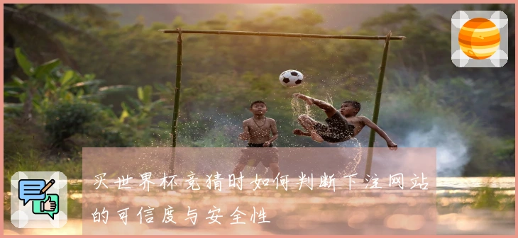 买世界杯竞猜时如何判断下注网站的可信度与安全性