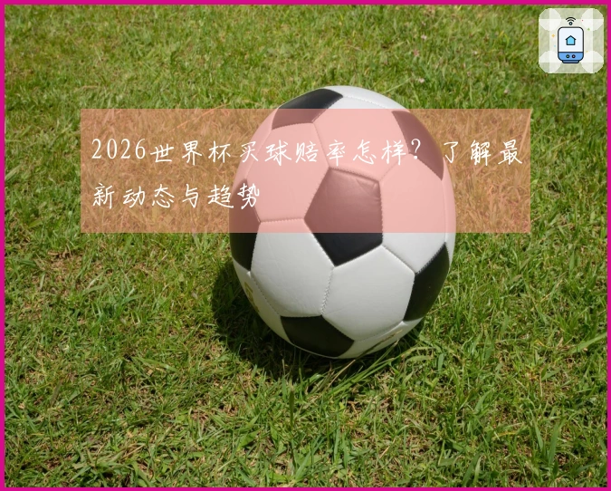 2026世界杯买球赔率怎样？了解最新动态与趋势
