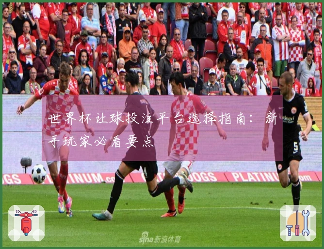 世界杯让球投注平台选择指南：新手玩家必看要点