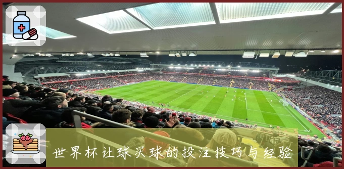 世界杯让球买球的投注技巧与经验分析